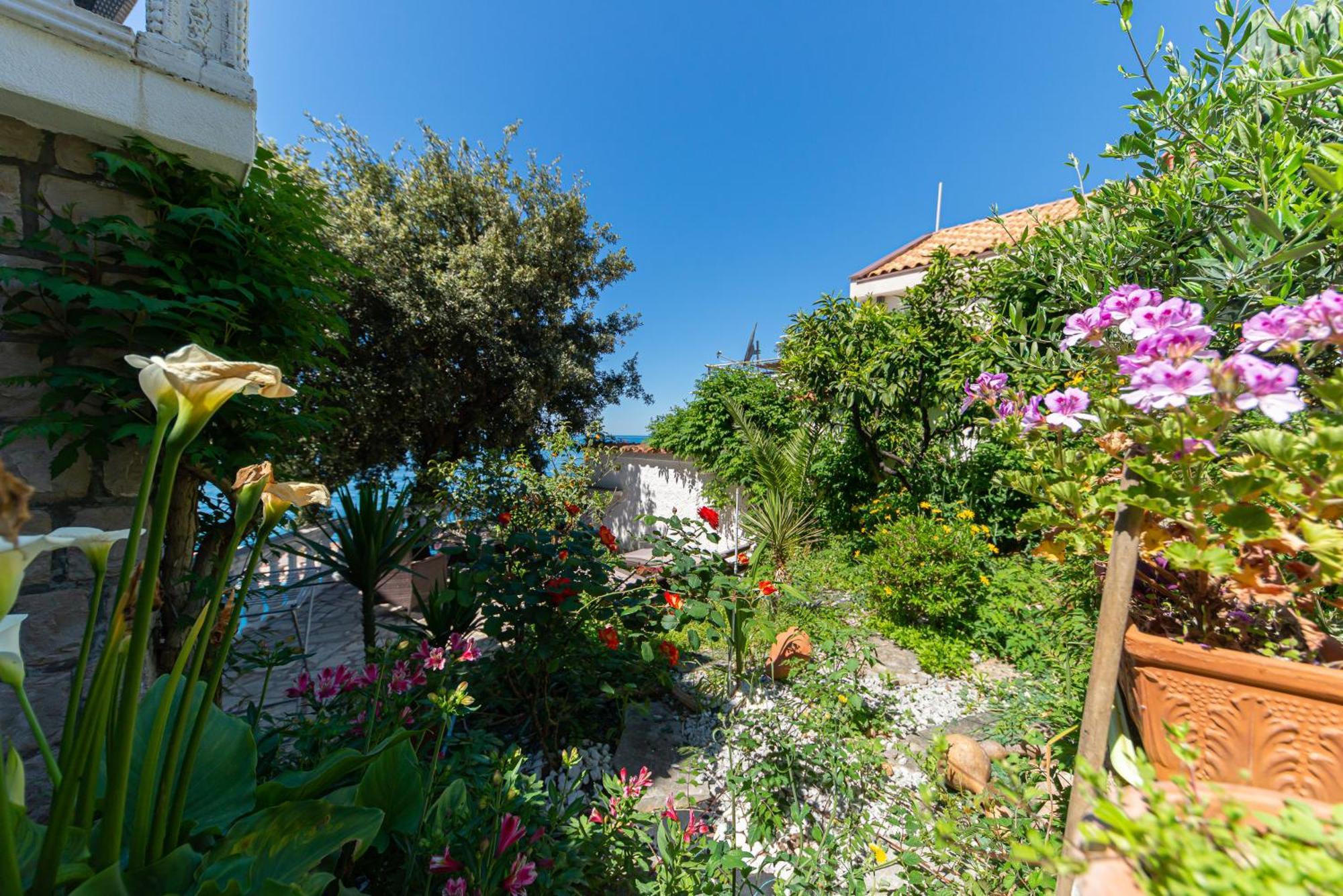 Vila Dora Dobra Voda Buitenkant foto